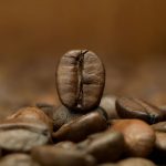 日曬 濃縮 烘培 精品 咖啡豆
