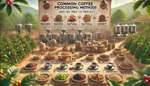 An informative scene showcasing various common coffee processing methods. The image features different types of coffee beans and cherries, each labele.webp