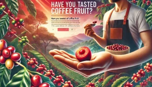 A vibrant scene showing a person enjoying a fresh coffee cherry. The image features the person holding a bright red coffee cherry with the pulp visibl.webp