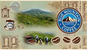 an-illustration-featuring-the-renowned-Blue-Mountain-Coffee-from-Jamaica-The-image-should-depict-the-Blue-Mountain-region-showing-its-high-altitude-.webp