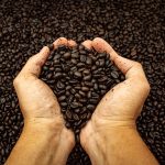 咖啡 單品 日曬 咖啡豆 精品