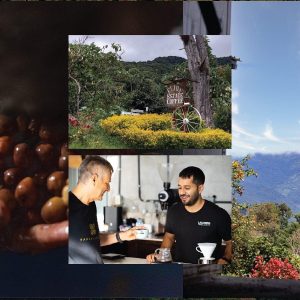 巴拿馬最佳生產者殊榮2022最佳巴拿馬咖啡