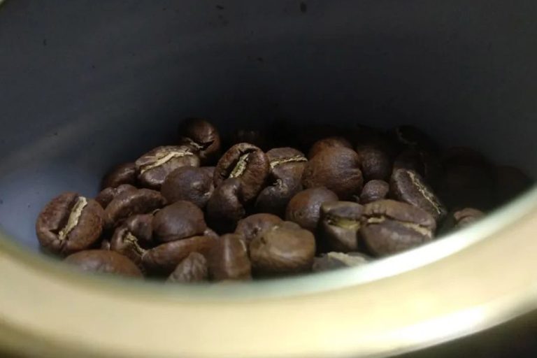 淺烘 日曬 深烘 單品 咖啡豆