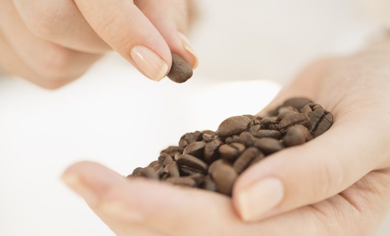 咖啡 精品 深烘 咖啡豆 生豆