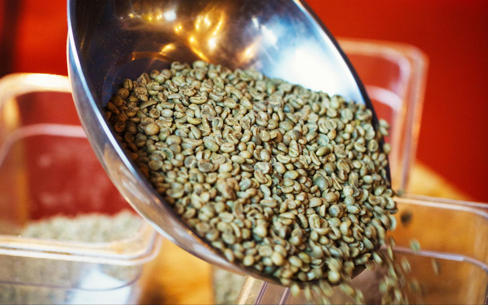 精品 咖啡豆 生豆 烘焙 綠原酸