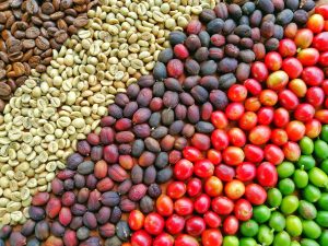 精品 咖啡豆 農場 烘焙 產地 鐵皮卡 推薦
