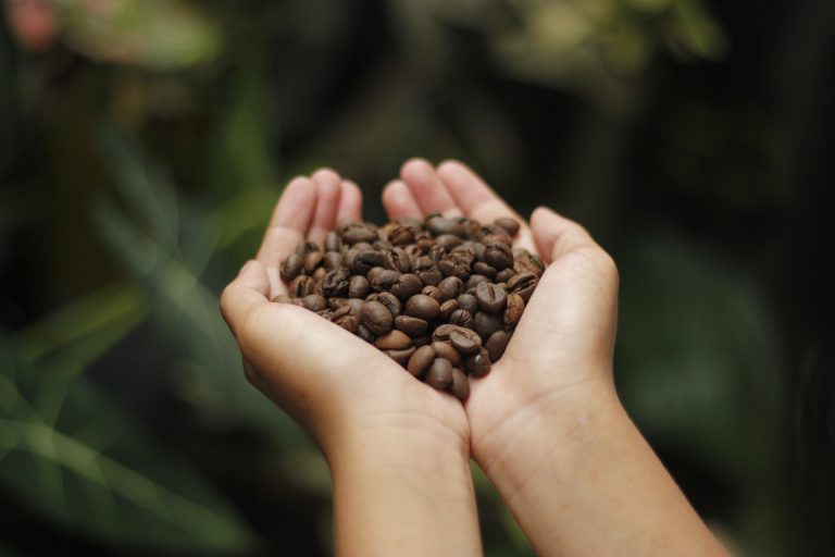 精品 咖啡豆 農場 烘焙 產地 水洗 日曬 推薦