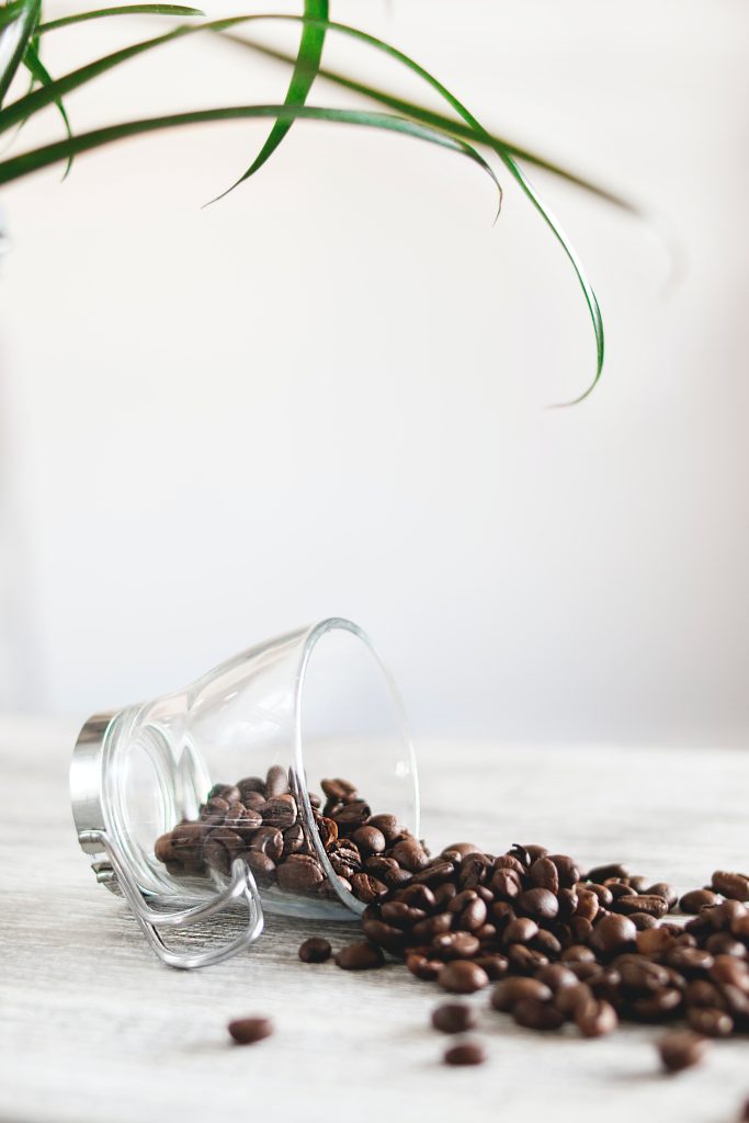 咖啡 推薦 知識 養豆 醒豆 烘焙 單向氣閥 Coffee Recommendation Knowledge Breeding Beans Refreshing Beans Roasting One way Air Valve