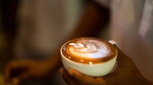 咖啡入門 手沖咖啡 咖啡風味 烘焙程度 阿拉比卡 羅布斯塔 Introduction to Coffee Hand brewed Coffee Coffee Flavor Roast Level Arabica Robusta
