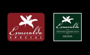 翡翠莊園 紅標瑰夏 藍標瑰夏 綠標瑰夏 精品咖啡 Emerald Manor Red Label Gesha Blue Label Gesha Green Label Specialty Coffee