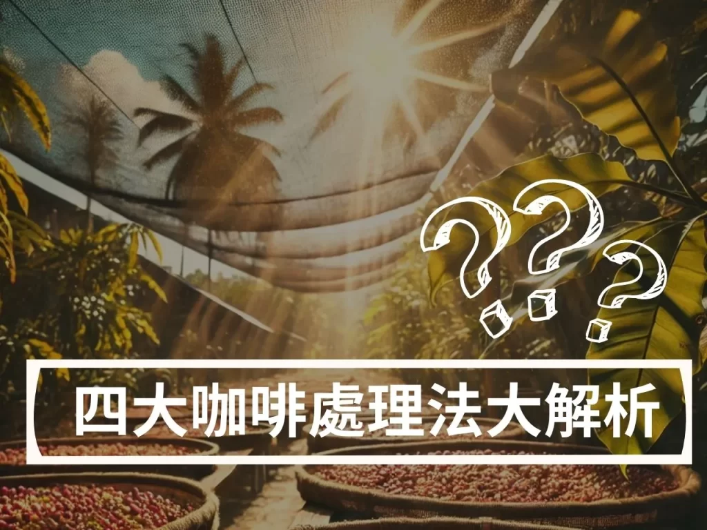 咖啡處理法：全面解析四大處理法，找到最適合你的咖啡風味