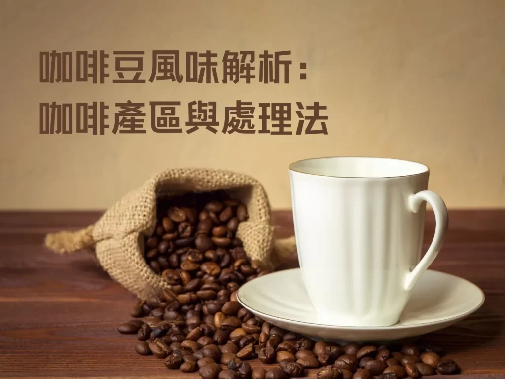 咖啡豆風味解析:咖啡產區與處理法,如何沖出你的命定手沖咖啡? 咖啡豆風味解析:咖啡產區與處理法,如何沖出你的命定手沖咖啡?