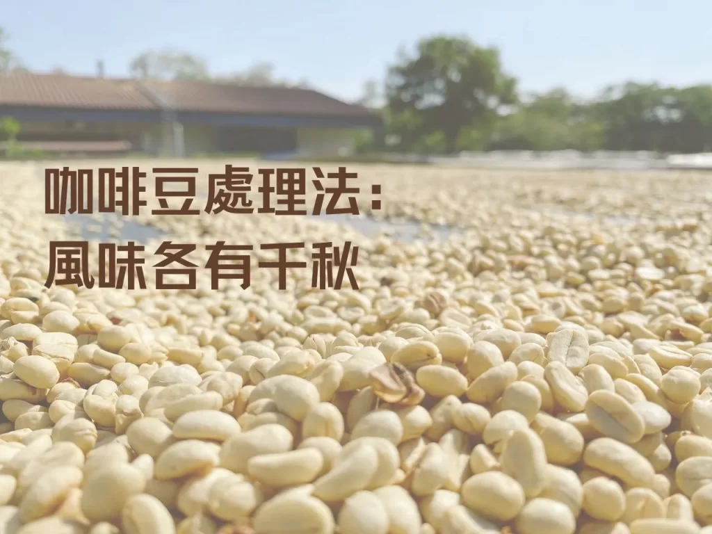 為什麼同一款豆子風味差很大?關鍵就在「咖啡豆處理法」! 為什麼同一款豆子風味差很大?關鍵就在「咖啡豆處理法」!