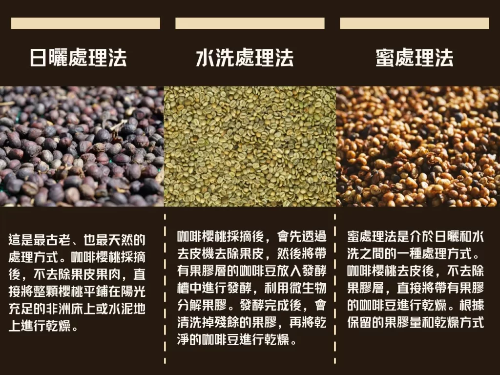 Coffee Processing Method 3 咖啡知識家 咖啡豆處理法 咖啡豆處理 水洗處理 日曬處理 蜜處理