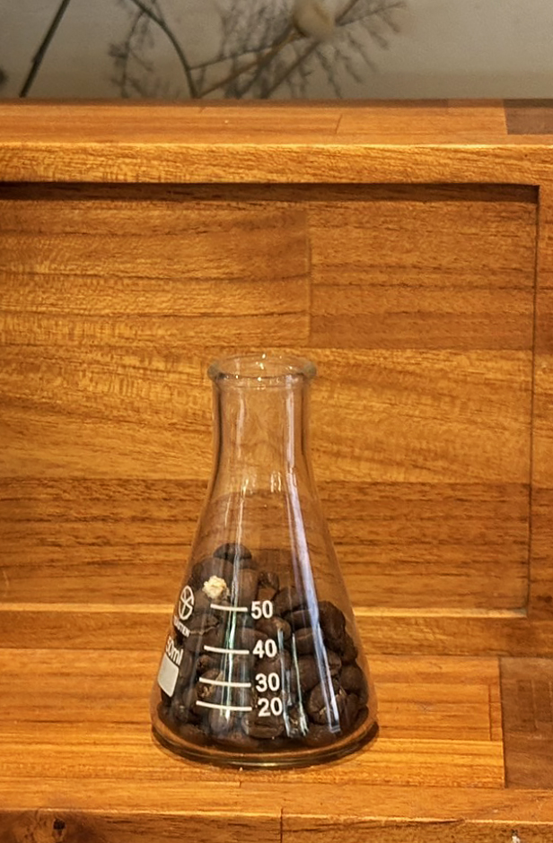 2025咖啡推薦 咖啡知識 咖啡豆 咖啡豆推薦 精品咖啡 衣索比亞 阿拉比卡豆 研磨粗細 烘焙程度 處理法 沖煮技法 2025 Coffee Recommendations Coffee Knowledge Coffee Beans Coffee Bean Recommendations Specialty Coffee Ethiopia Arabica Beans Grinding Coarseness Roasting Degree Processing Methods Brewing Techniques