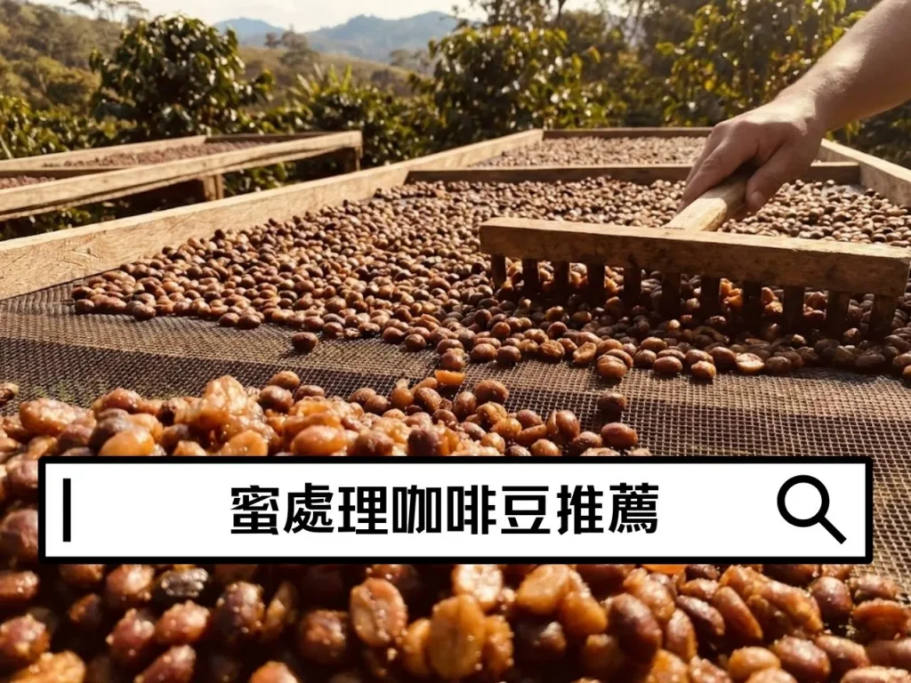 蜜處理咖啡豆推薦指南｜從蜜處理流程、日曬水洗蜜處理差別