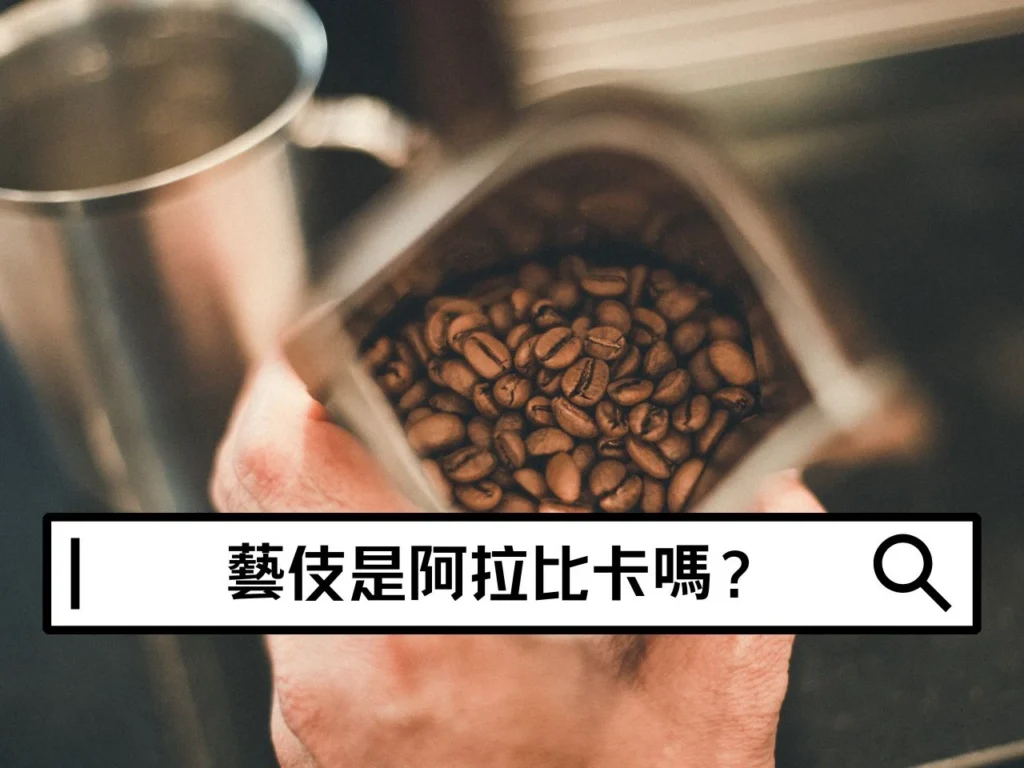 藝伎是阿拉比卡嗎?藝伎咖啡豆推薦與品種一篇看懂! 藝伎是阿拉比卡嗎?藝伎咖啡豆推薦與品種一篇看懂!