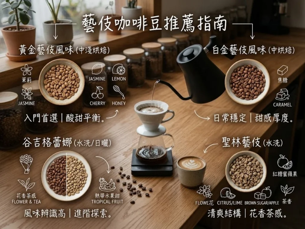 Are geisha coffee beans Arabica 5 咖啡知識家 藝伎咖啡 藝伎咖啡豆推薦 藝伎是阿拉比卡嗎 精品咖啡 單品咖啡