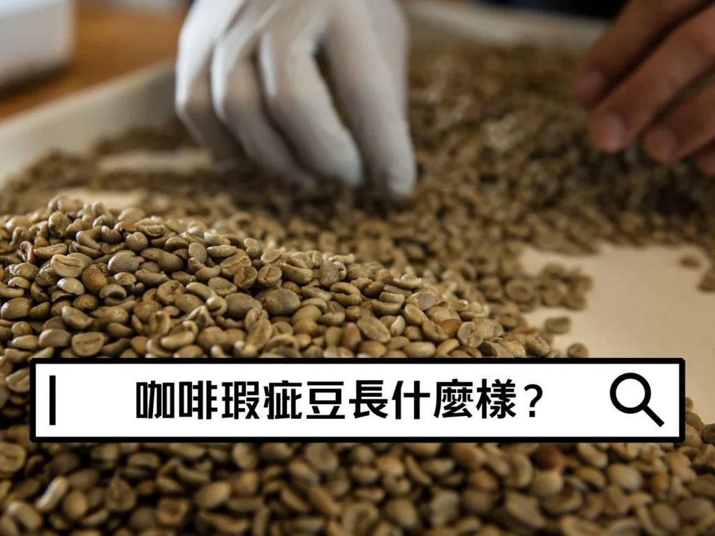 咖啡瑕疵豆長什麼樣？常見瑕疵豆外觀、味道與挑選重點