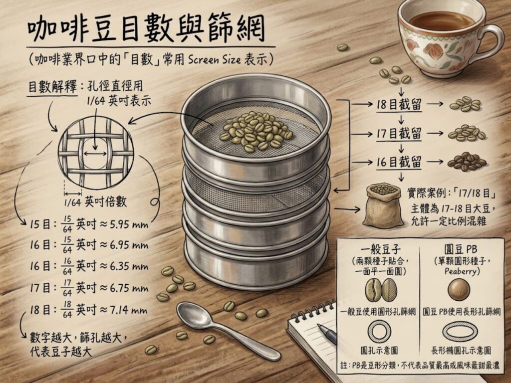 咖啡豆大小 咖啡豆越大越好嗎 咖啡豆目數 咖啡豆分級 咖啡生豆分級 肯亞AA 衣索比亞G1 哥倫比亞Supremo 咖啡豆篩網 17/18目咖啡豆